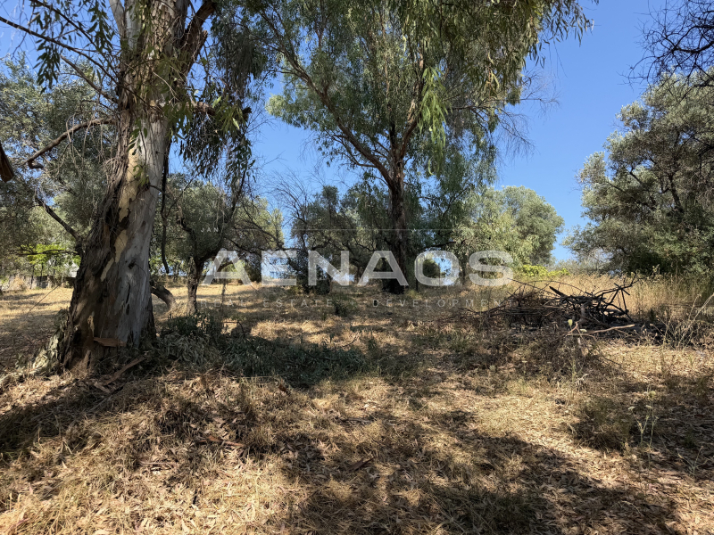 property-img