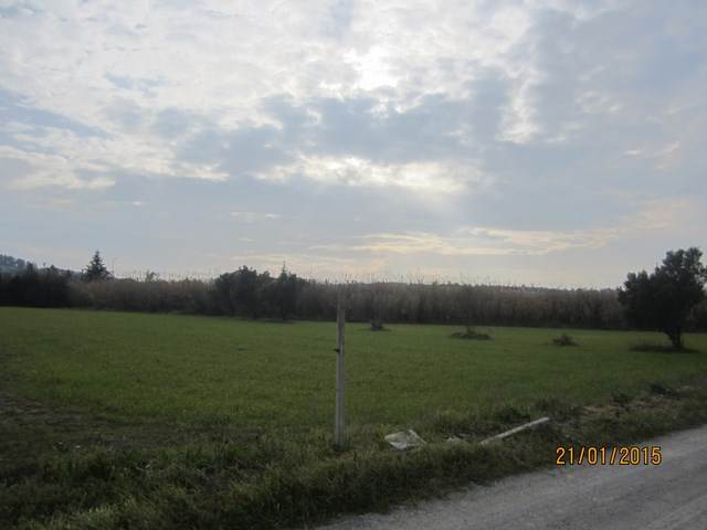 property-img